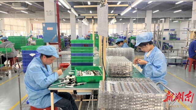 业用小小化妆刷“破圈” 湖南日报麻将胡了2从沿海到内陆炎陵一企(图1)